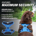 Doggie Design Venture Paw No Pull Dog Harness - Simple Adjustable Puppy Harness - Anti Pull Dog Collar for Walks and Outdoor Adventures - Mountain Lake, XL