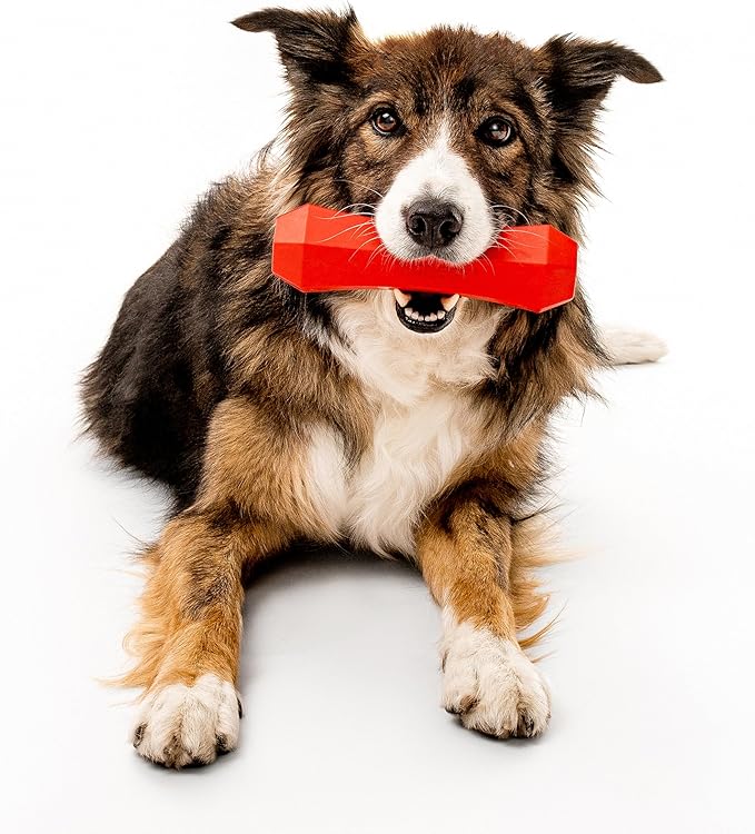 Playology Squeaky Dog Toy Fetch Stick | Durable Rubber Toys for Interactive Play | Beef Scented Fetch Stick for Large Dogs | Floating Dog Toy Made from Non Toxic Materials