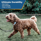 GoTags Silicone Slide On Pet ID Tag, Personalized Engraved Colorful Collar Slide Dog Tag Nameplate for Pets, No Noise Quiet Dog Tags Small Medium Large in 5 Colors