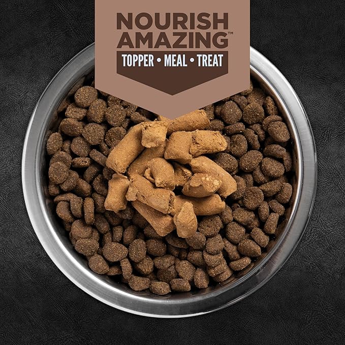 ORIJEN Epic Bites Freeze-Dried Dry Dog Food Regional Red Recipe 6oz Bag