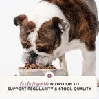 Open Farm, Digestive Health Dog Food, Veterinarian Formulated Easily Digestible Formula with Probiotics for Dogs, Wild-Alaskan Pollock & Oatmeal Recipe, 22lb Bag