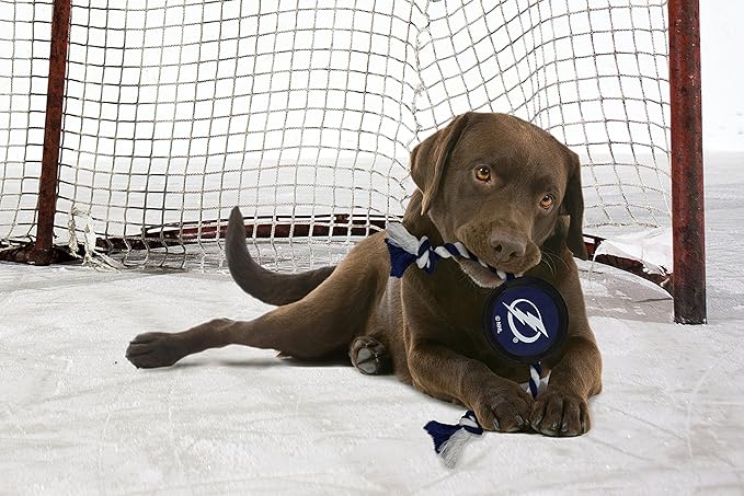 Pets First NHL Tampa Bay Lightning Puck Toy for Dogs & Cats. Play Hockey with Your Pet with This Licensed Dog Tough Toy Reward!