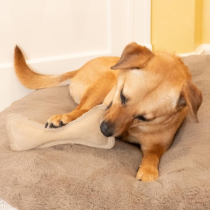 SPOT Dura-Fused Leather Bone- Durable Dog Toy with Squeaker, Real Leather & Jute Fabric, Interactive Toy for Moderate & Aggressive Chewers, Medium & Large Dogs and Puppies, 9 inch
