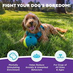 Outward Hound by Nina Ottosson Treat Tumble Interactive Puzzle Ball Dog Toy, Level 1 Beginner, Blue, Small (4.75" Diameter)