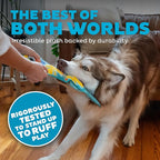 Outward Hound Tough Skinz Durable Squeaky Dog Toy with Two Tough Layers, Snake, Blue, Large