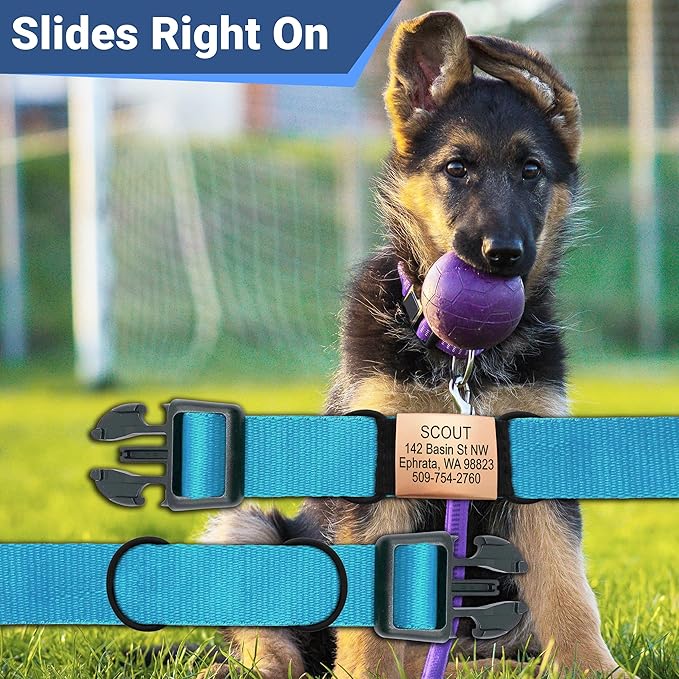 GoTags Quiet Slide On Pet ID Tags for Dogs and Cats, Silent Jingle Free Personalized Engraved Custom Stainless Steel Name Tags, Small Medium Large and 4 Color Options, Fits Most Collar Types