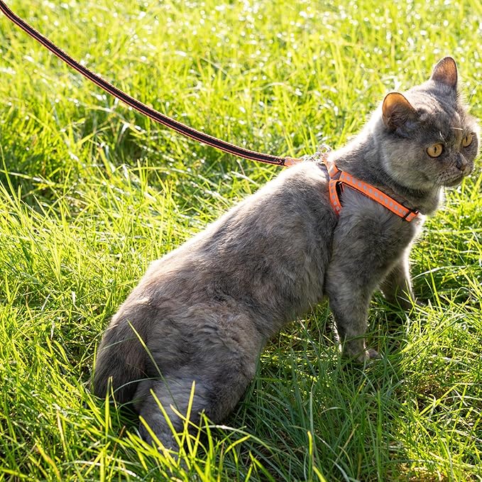 Filbert Cat Harness and Leash Set with Reflective Strip, Thin Cat Harness Escape Proof with Leash, Step-in, Adjustable, Indoor Outdoor, Easy-to-Put-On