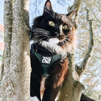 Travel Cat The Emerald Explorer Limited Edition Green Harness and Leash Set - Adjustable Fit Mesh Cat Harness with Reflective Strap - Escape Proof Harness for Cats, Kitten (Emerald, Small)