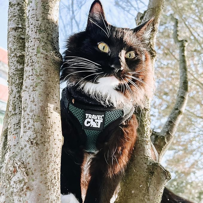 Travel Cat The Emerald Explorer Limited Edition Green Harness and Leash Set - Adjustable Fit Mesh Cat Harness with Reflective Strap - Escape Proof Harness for Cats, Kitten (Emerald, Small)
