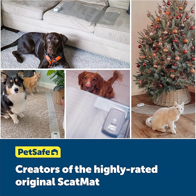 PetSafe ScatMat Indoor Training Mat