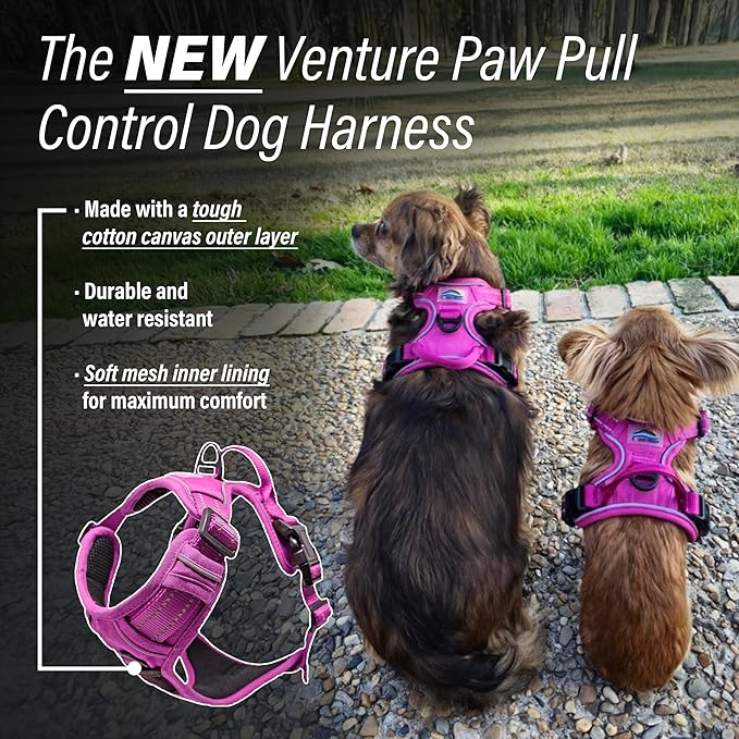 Doggie Design Venture Paw No Pull Dog Harness - Simple Adjustable Puppy Harness - Anti Pull Dog Collar for Walks and Outdoor Adventures - Wild Raspberry, S