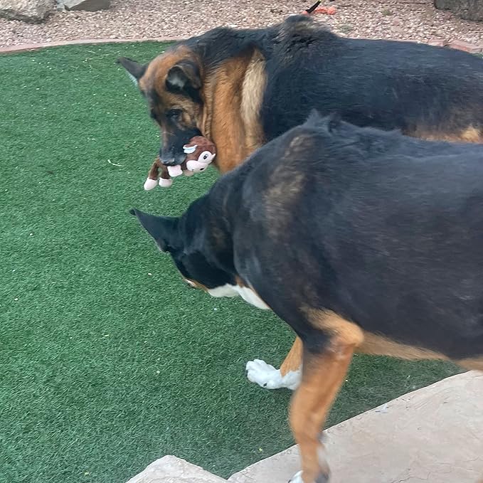 Jalousie Multipack Dog Squeaky Toys Strong Almost Indestructible, with Added Liner for Longer Play Dog Chew Toys (Medium Breeds - 5 Pack Dotted)