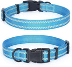 Mile High Life Nylon Night Light Glow Collar, Reflective Light Up Dog Collar, Fluorescent Self-Luminescent Strap for Small Medium Large Dogs (Hot Blue, M Neck13-17")