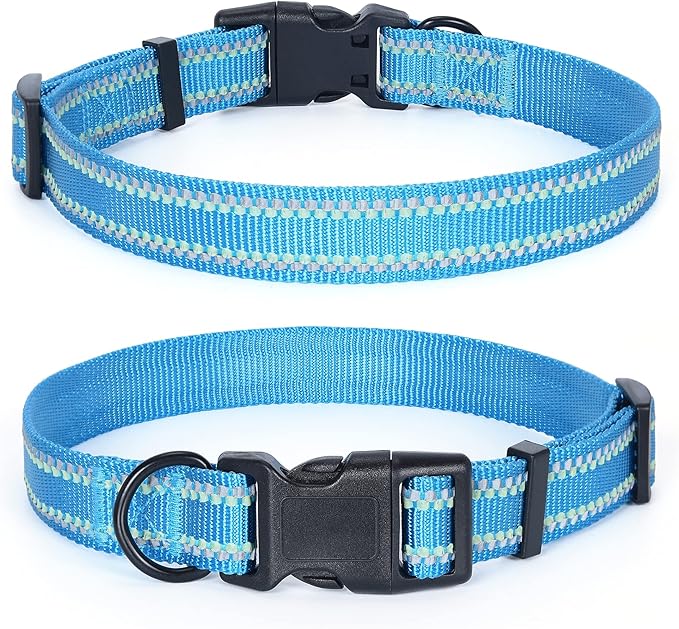 Mile High Life Nylon Night Light Glow Collar, Reflective Light Up Dog Collar, Fluorescent Self-Luminescent Strap for Small Medium Large Dogs (Hot Blue, XS Neck9-13")