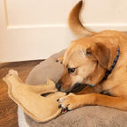 SPOT Dura-Fused Leather Bear Dog Toy – Durable Real Leather & Jute Chew Toy with Squeaker, Double-Stitched for Moderate Chewers, Medium & Large Dogs, 11.5in