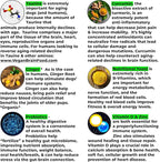Anti-Aging & Immune Support | Organic, Human-Grade Ingredients | Medicinal Plants & Mushroom Extracts | Omega 3's, Antioxidants, Probiotics, Vitamins & Minerals | Plant-Based & Vegan