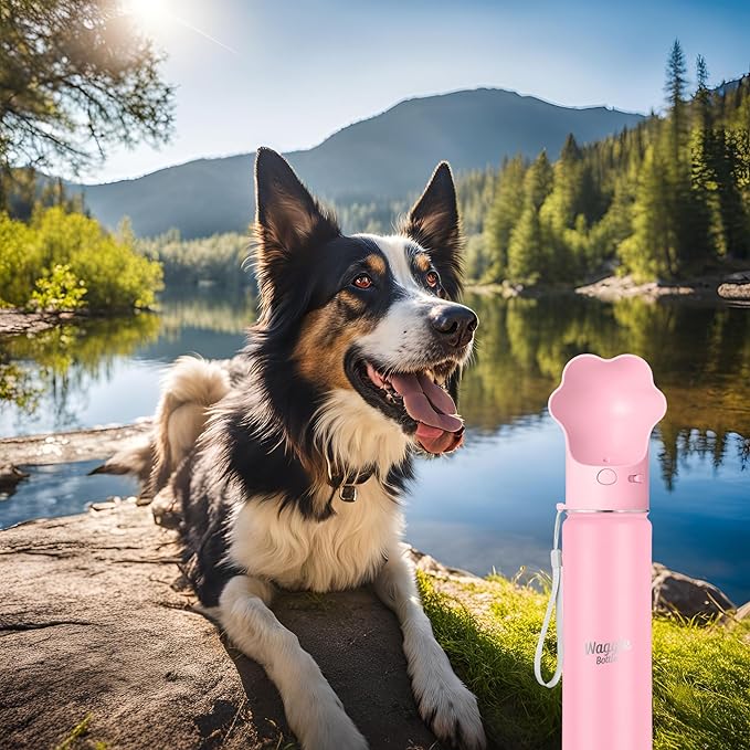 Stainless Steel Dog Travel Water Bottle, Vacuum Insulated Portable Dog Water Dispenser, Drink Cup and Snack Container On The Go, Outdoor Walking, Hiking, Travel (Pink, 22oz)