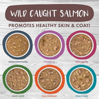 Weruva Classic Stews Cat Food, Spoil Me Stewpid! Variety Pack, 3oz Can (Pack of 18)