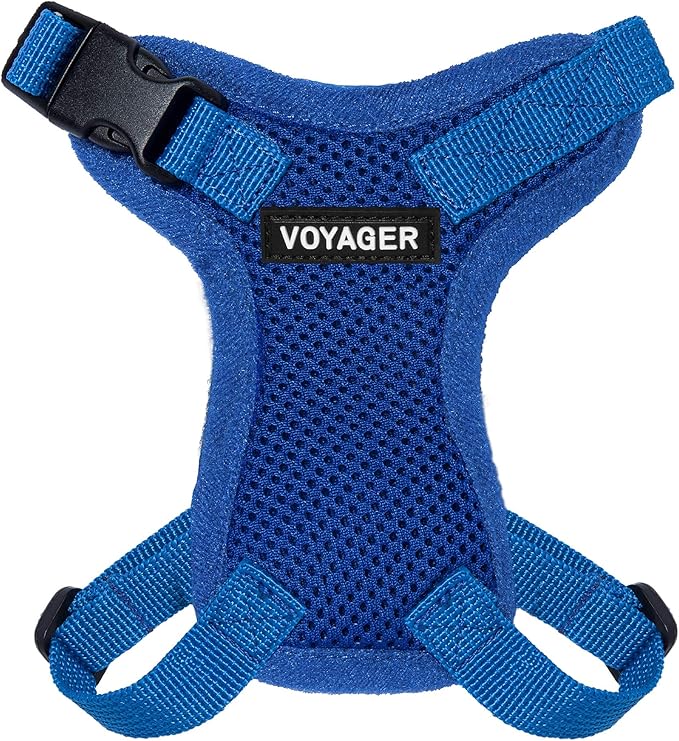 Voyager Escape-Proof Step-in Lock Cat Harness & 5ft Neoprene-Handle Leash Set All-Weather Mesh with Reflective Stitching for Small to Large Cats by Best Pet Supplies, Royal Blue, XXS