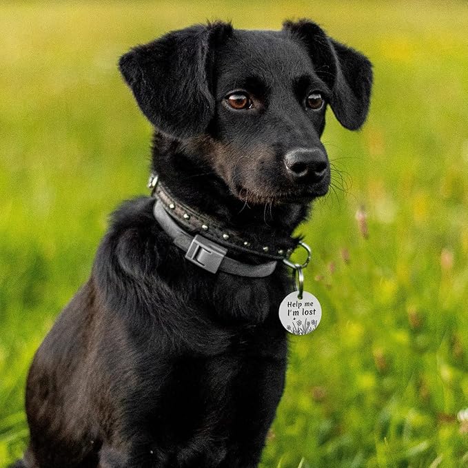 MYLUCKYTAG QR Code Stainless Steel Dog ID Tag, Dog Collar Tag with Engraved Pet Profile, Pet Location Alerts by Email