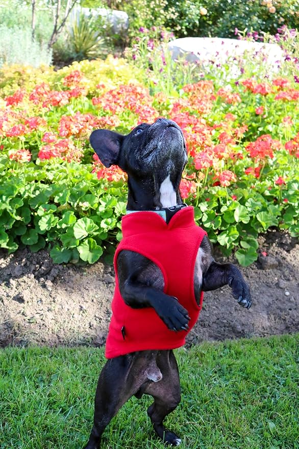 JACKO & CO - Fleece Vest Sweater with Leash Ring - Soft Lightweight Breathable for Puppies Small Medium Dogs, Kitten, Cats, Chihuahua - Warm for Fall/Autumn/Winter (Red, Medium 6-10lbs)