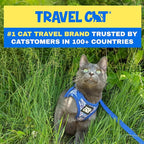 Travel Cat Harness and Leash Set - Adjustable Fit Mesh Cat Harness and Reflective Strap - Comfort Walking Vest for Kitten for Outdoor Walking, Hiking (Large, Groovy)