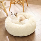 Bedsure Calming Cat Beds for Indoor Cats - Small Cat Bed Washable 20 inches, Anti-Slip Round Fluffy Plush Faux Fur Pet Bed, Fits up to 15 lbs Pets, Cream