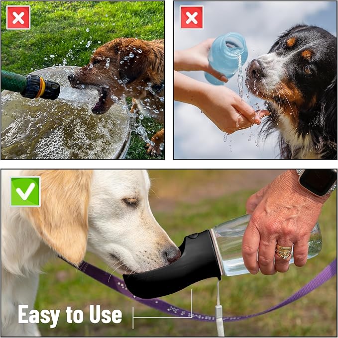 Mr. Pen- Dog Water Bottle, 19 oz, Large, Black, Portable Dog Water Bottle Dispenser, Not Dishwasher Safe