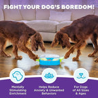 Outward Hound Nina Ottosson Paw N' Play Interactive Dog Treat Puzzle, Level 2 Intermediate Dog Enrichment Dog Toy, Blue, Small