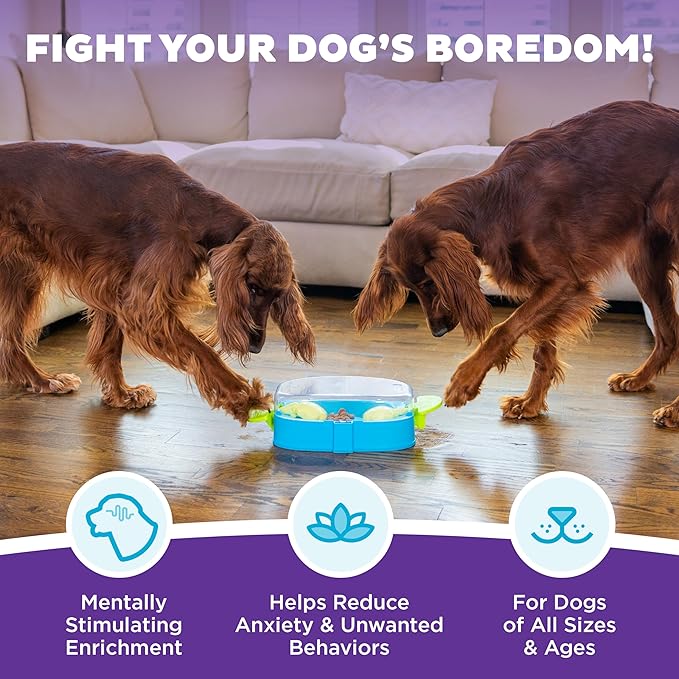 Outward Hound Nina Ottosson Paw N' Play Interactive Dog Treat Puzzle, Level 2 Intermediate Dog Enrichment Dog Toy, Blue, Small