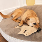 SPOT Dura-Fused Leather Bear Dog Toy – Durable Real Leather & Jute Chew Toy with Squeaker, Double-Stitched for Moderate Chewers, Medium & Large Dogs, 11.5in