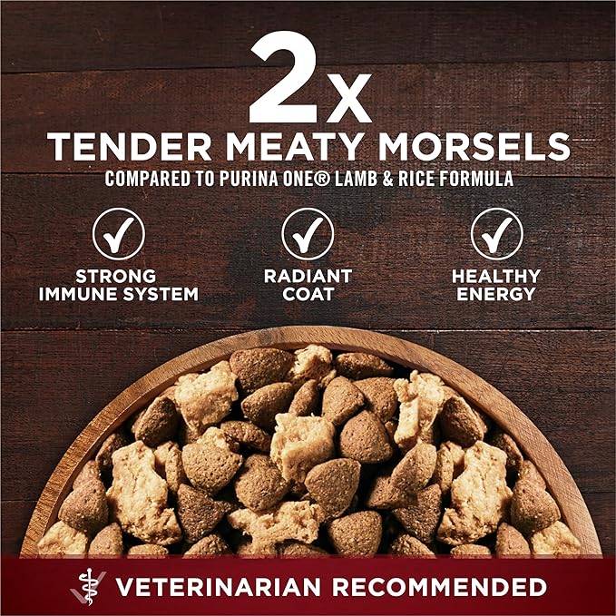 Purina ONE Natural High Protein Dry Dog Food Dry True Instinct with Real Beef and Salmon With Bone Broth and Added Vitamins, Minerals and Nutrients - (Pack of 4) 3.8 lb. Bags