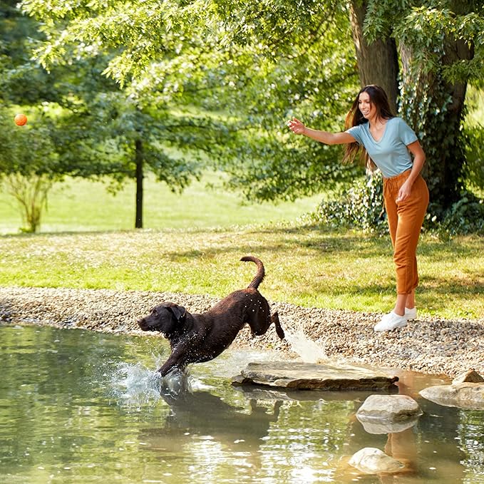 Nature’s Recipe Grain Free Chicken, Sweet Potato & Pumpkin Recipe Dry Dog Food, 24 lb. Bag