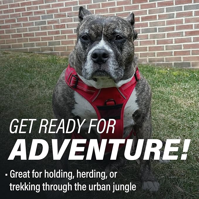 Doggie Design Venture Paw No Pull Dog Harness - Simple Adjustable Puppy Harness - Anti Pull Dog Collar for Walks and Outdoor Adventures - Crimson, XL