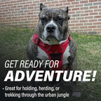 Doggie Design Venture Paw No Pull Dog Harness - Simple Adjustable Puppy Harness - Anti Pull Dog Collar for Walks and Outdoor Adventures - Crimson, XL