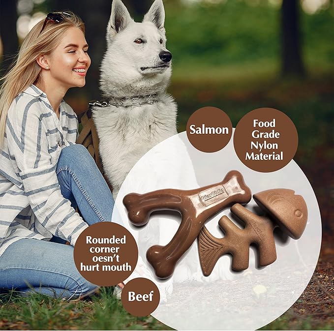 Dog Chew Toys for Aggressive Chewers (2Pcs - Real Beef & Salmon Flavored) - Durable Dog Tough Wish Bone (Upto 40 lbs.) - Indestructible Chew Toys for Dogs for Interactive Play & Dental Benefits