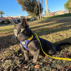 Travel Cat Harness and Leash Set - Adjustable Fit Mesh Harness and Reflective Strap - Comfort Walking Vest for Kitten for Outdoor Walking, Hiking (Large, 90s Cat)