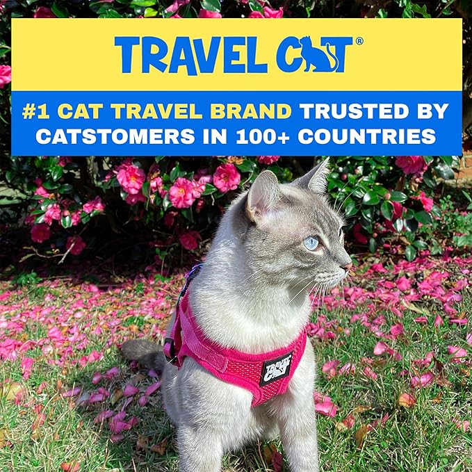 Travel Cat Harness and Leash Set - Adjustable Fit Mesh Cat Harness and Reflective Strap - Comfort Walking Vest for Kitten for Outdoor Walking, Hiking (Large)