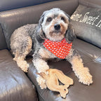 SPOT Dura-Fused Leather Fox Dog Toy – Real Leather & Jute Fabric, Double-Stitched & Durable, Squeaky Interactive Chew Toy for Moderate Chewers, Small & Medium Dogs, Soft Stuffed Fetch Toy, 7.5in