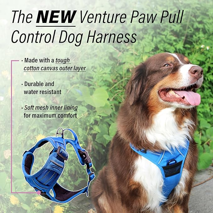 Doggie Design Venture Paw No Pull Dog Harness - Simple Adjustable Puppy Harness - Anti Pull Dog Collar for Walks and Outdoor Adventures - Mountain Lake, XL
