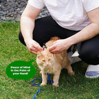 Tile Sticker Cat Collar Holder (2024): The Smallest, Lightest, and Most Comfortable Tracking Case for Cats - Track Your Pet with iPhone Samsung Android Device - Life360 for Boy Girl Kittens (Black)