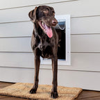 PetSafe Wall Entry Pet Door - Rust-Free Telescoping Frame - Easy Install for Interior & Exterior Walls 4 3/4" - 7" Thick - Medium - for Pets Up to 40 lbs