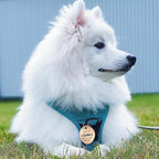 MYLUCKYTAG QR Code Stainless Steel Pet ID Tag - Personalized Online Profile, Location Alert Email, Digital ID, Durable Dog Collar Tag, Engraved