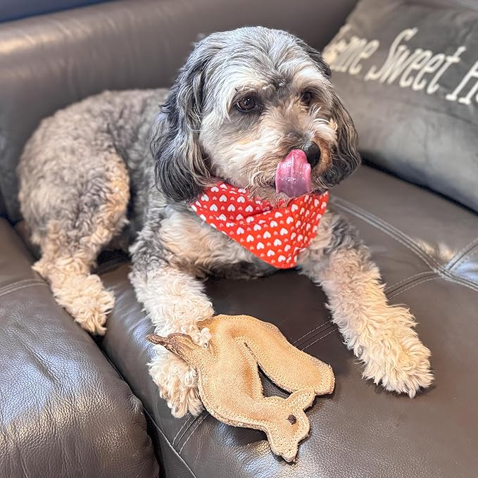 SPOT Dura-Fused Leather Fox Dog Toy – Real Leather & Jute Fabric, Double-Stitched & Durable, Squeaky Interactive Chew Toy for Moderate Chewers, Small & Medium Dogs, Soft Stuffed Fetch Toy, 7.5in