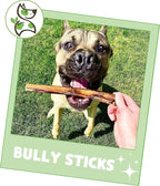 Nature Gnaws Bully Sticks for Dogs 5-6" (1Lb) - Mixed Thickness - Long Lasting for Aggressive Chewers and Large Dogs - Natural Beef Dog Chew Bones