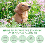 Pet Vet Allergy Relief Chews for Dogs (Beef Liver) – Itchy Skin Relief for Dog Allergies – Skin Irritation Treatment, Allergy Chews, Pet Probiotics – Dog Health