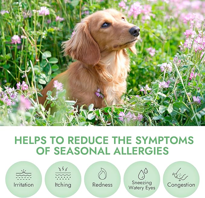 Pet Vet Allergy Relief Chews for Dogs (Beef Liver) – Itchy Skin Relief for Dog Allergies – Skin Irritation Treatment, Allergy Chews, Pet Probiotics – Dog Health