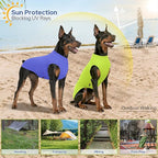 2 Pack Dog Shirts, Quick Dry Breathable Dog Clothes Pet Sleeveless Vest, Summer Stretchy Tank Top T-Shirts for Large Dogs, Deep Blue+Dark Green (M)