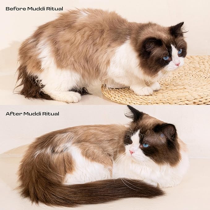 Cat Rinse-Free Shampoo & Conditioner with Bath Mitt – Sensitive Skin, Stress & Itch Relief Leave-In Cleanse Serum – 98.65% Naturally Derived, Gentle Cleanse, Hydrate & Deodorize – 8 x 10ml