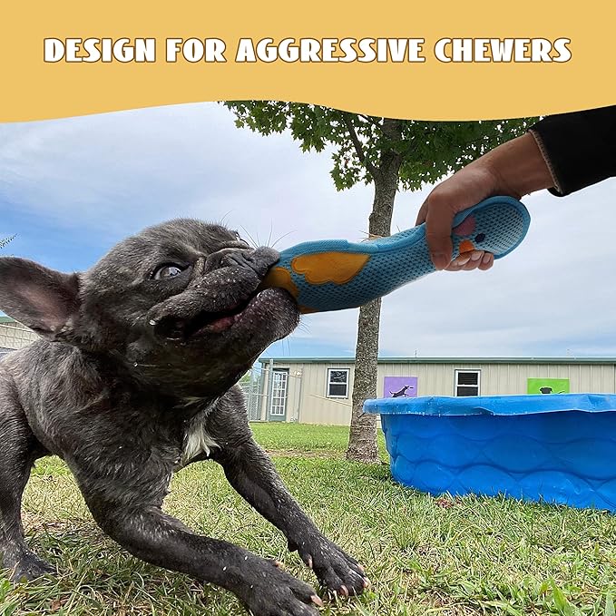 Nocciola Duck Squeaky Dog Toy, New 2025 Indestructible Dog Toy for Aggressive Chewers, Stuffed Toy with Two Tough Layers, Interactive Tug Training to Keep Them Busy, Blue